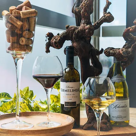 Mercure Paris Orly Aeroport Hotel