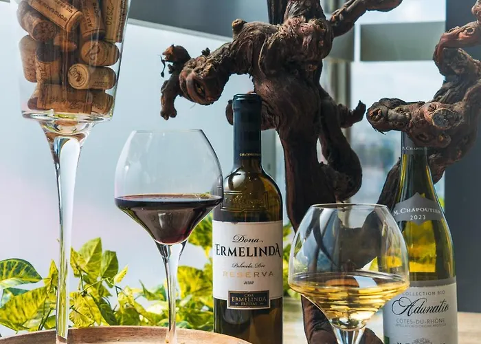 メルキュール パリ オルリー アエロポール ホテル