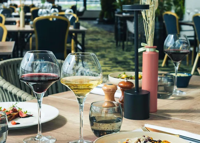 メルキュール パリ オルリー アエロポール 4* ランジス